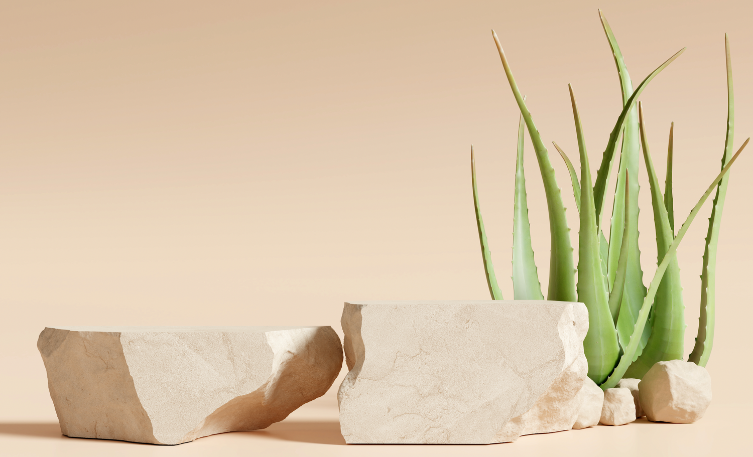 Aloe Extract - The Ultimate Skin Soother | yearnskin.co.za